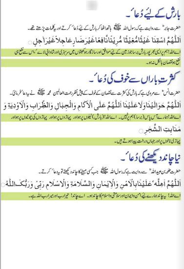  Quran Learning